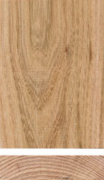 Holzmuster: Ulme, Rüster