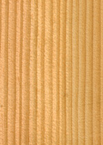 Holzmuster: Douglasie