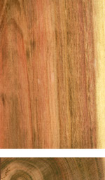 Holzmuster: Zwetschge