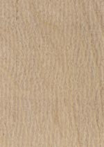 Holzmuster: Finnisches Dünnfurniersperrholz