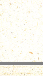 Holzmuster: Gipsgebundene Spanplatte