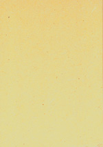 Holzmuster: Diffusionsoffene, mitteldichte Faserplatte