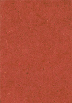 Holzmuster: HDF-Platte B1 schwer entflammbar