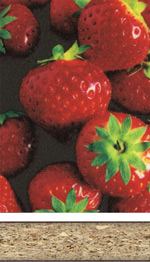 Holzmuster: Dekorative HPL-Verbundspanplatte